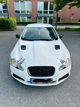 Jaguar XF. - Jaguar XF in Essen