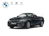BMW 230 i Cabrio Line  Luxury Line Navi Leder Memory - : Cabrio, Luxury