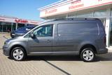 Volkswagen Caddy 2.0 TDI Maxi 4Motion Standheizung Bi-Xenon - Volkswagen Caddy 4motion