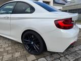BMW M240i Coupé Autom. M-Performance Endtopf - BMW M240i: 240