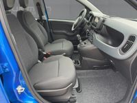 Fiat Panda - Vorschau Bild 11