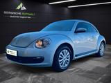 Volkswagen BEETLE/2-Z.KLIMA/SHZ/TEMP/PDC'S/2X FUNK - silberne Volkswagen Beetle