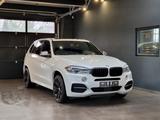 BMW X5 M50d Pano*Standhzg*h&k*360° Kamera - BMW X5 M50 aus 2018