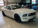 Ford Mustang GT V8 4.6 LPG Tüv Inspektion Neu - Ford Mustang aus 2005: V6