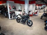 Honda CB125R 2026 Rock Gray *sofort verfügabr* - HONDA 125 S