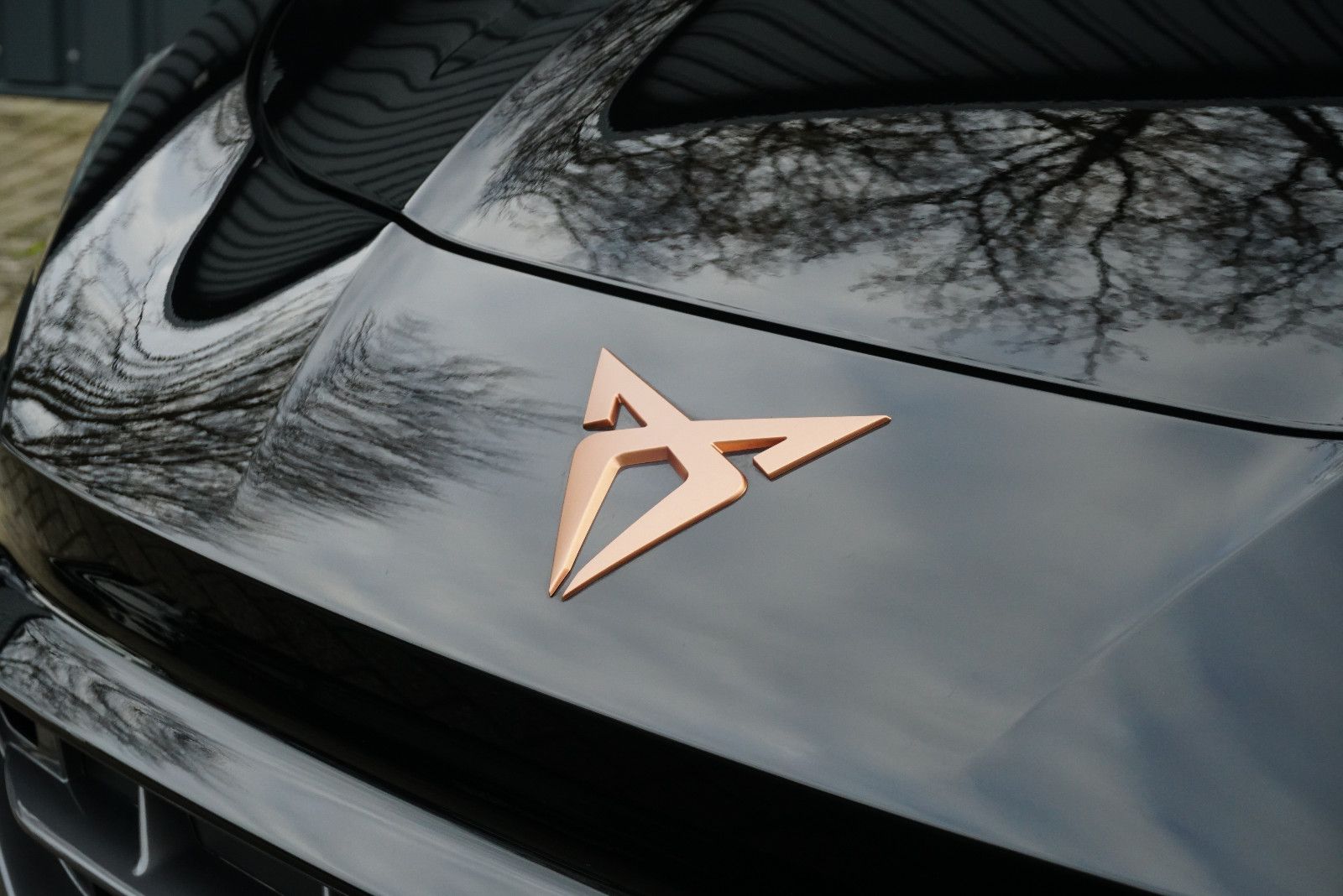 Cupra Terramar - Bild 15