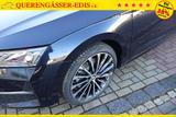 Skoda Octavia 1.5TSI DSG "130LET Premium" *Kessy*Ma... - Skoda Octavia Tageszulassungen