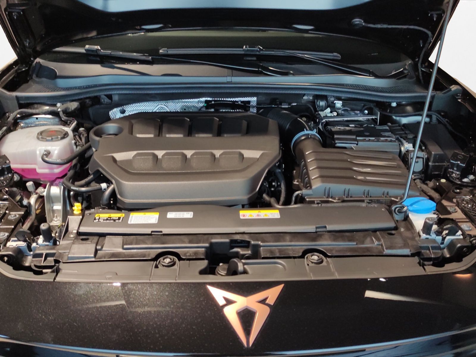 Cupra Leon - Bild 20