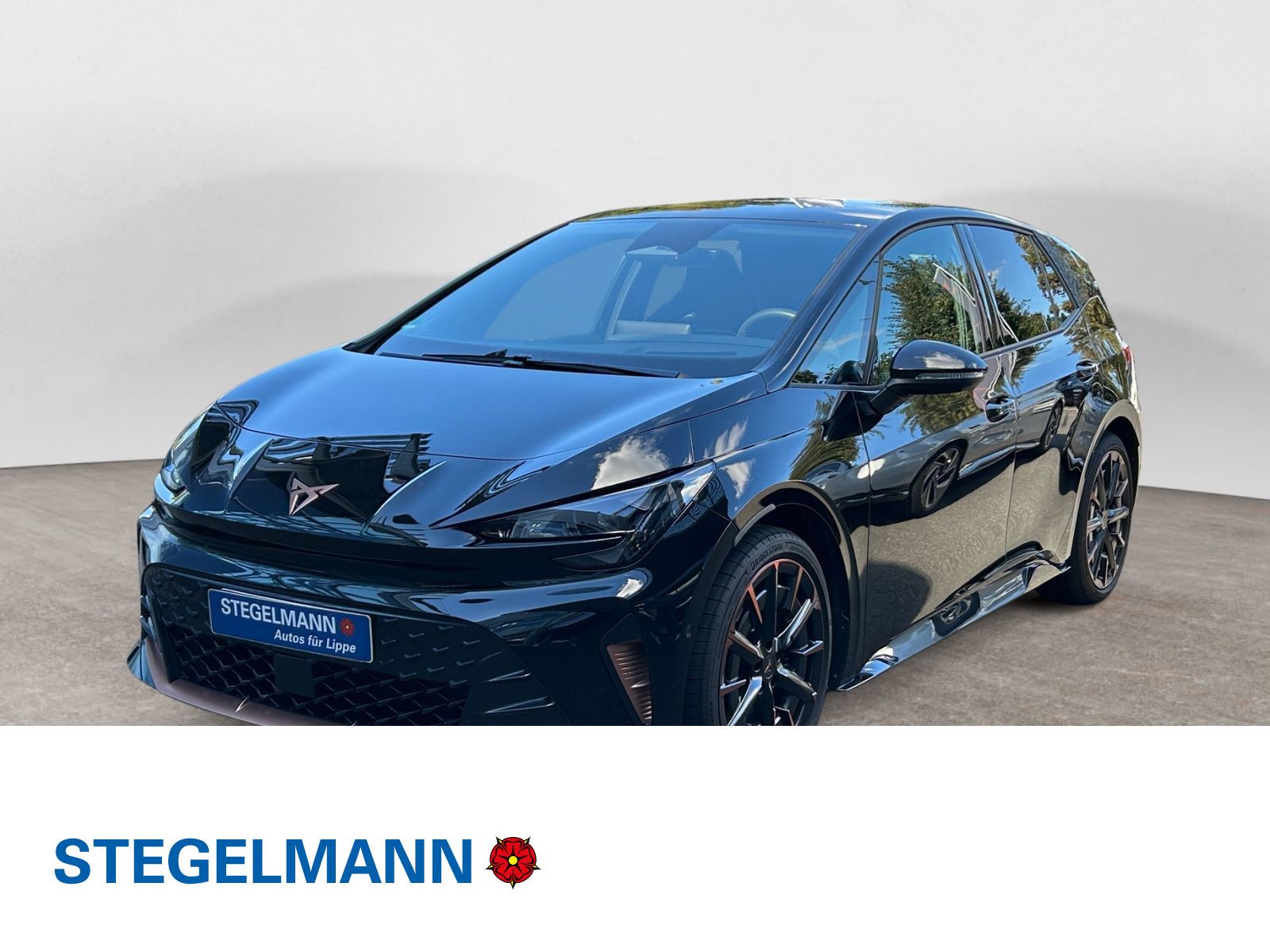 Cupra Born VZ Matrix Sennheiser 20 Zoll Bike