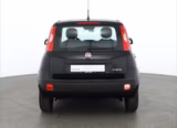 Fiat New Panda Pandina 1.0 mHEV App Connect PDC klima - Fiat New Panda Benziner Gebrauchtwagen