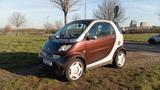 Smart ForTwo coupé passion 45kW passion - Smart ForTwo aus 2005: Passion