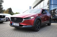 Mazda CX-30 - Vorschau Bild 9