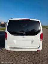 Mercedes-Benz V 250 d AVANTGARDE EDITION kompakt viele Extras - Mercedes-Benz V 250 von privat