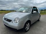 Volkswagen Lupo 1.0 Oxford mit TÜV bis September 2027 - Volkswagen Lupo: Oxford