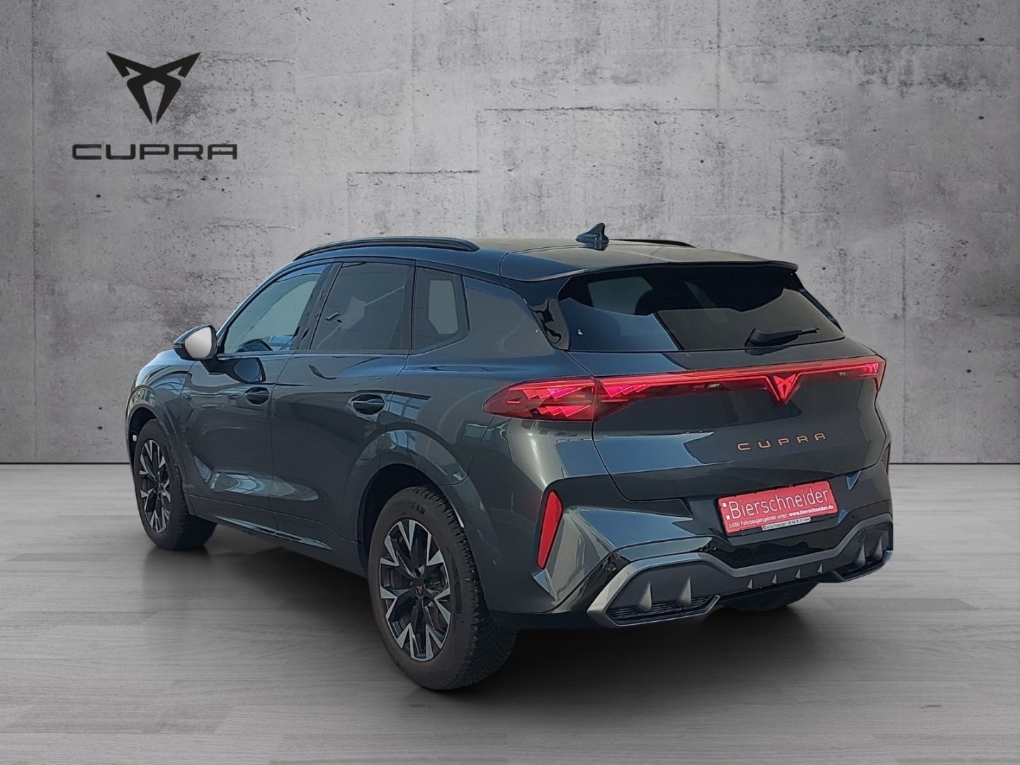 Cupra Terramar - Bild 8