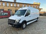 Mercedes-Benz Sprinter 313 CDI Maxi, Tüv 1... - Mercedes-Benz Sprinter: 313 Cdi Maxi
