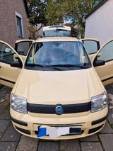 Fiat Panda 169 EZ 2007 Farbe Gelb - Fiat Panda Gebrauchtwagen in Dortmund