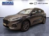 Ford Kuga ST-Line X  2.5l PHEV         *SALE-AKTION*  - Ford: Aktion