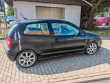Volkswagen Polo 1.9TDI 74kW Highline - Volkswagen Polo aus 2004: TDI