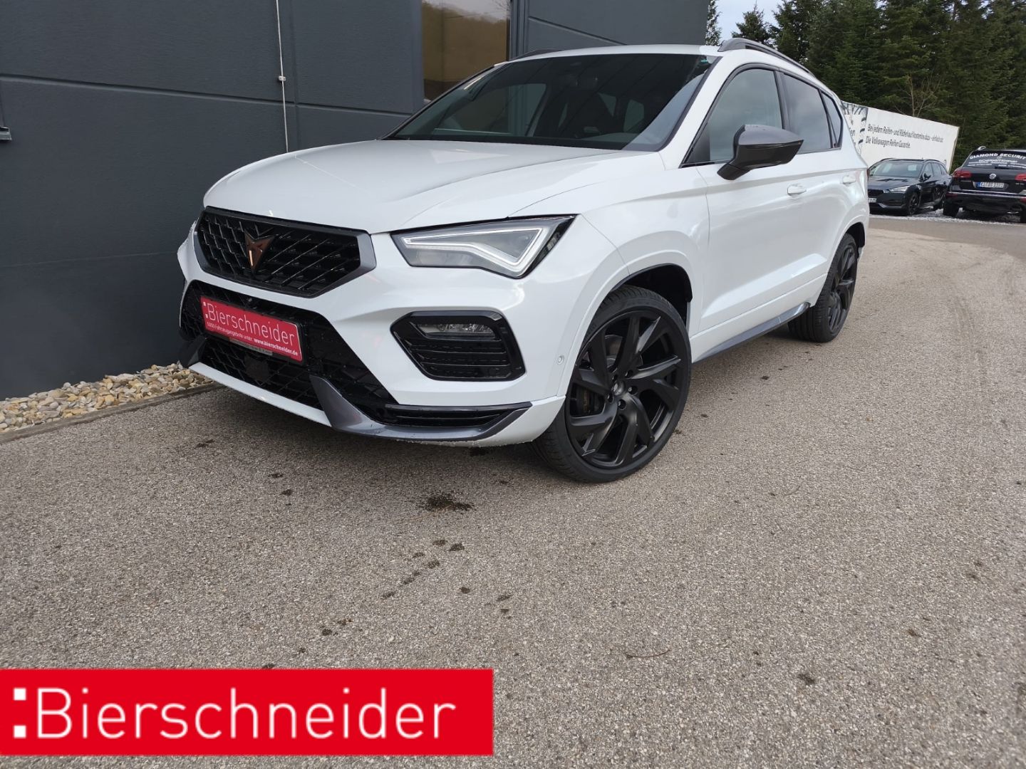 Cupra Ateca 300 4DRIVE VZ ab 319,- 1.590,-Überführung 