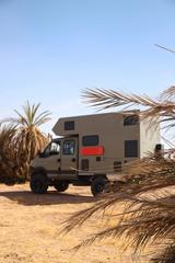Iveco Daily 4x4 - Allradantrieb Wohnmobil oder -wagen Daily