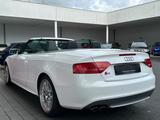 Audi S5 Cabriolet 3.0 TFSI quattro | S Sportsitze - Audi S5: Cabrio