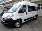Fiat Ducato Hochr. 33 150 L2H2 Rollstuhl-Lift 8Person - Fiat Ducato mit Diesel-Antrieb: Behindertengerecht, Kleinbus