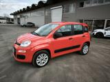 Fiat Panda 0.9 TwinAir Turbo Natural Power Easy - Fiat Panda mit CNG-Antrieb