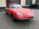Alfa Romeo Spider 1300 Junior, Bj 1970, TÜV - Alfa Romeo Gebrauchtwagen von 1970