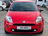 Fiat Punto Young 1.2 /Navi/Neu Zahnriemen/Neu TÜV - Fiat Punto aus 2015