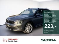 Skoda Kamiq - Vorschau Bild 1