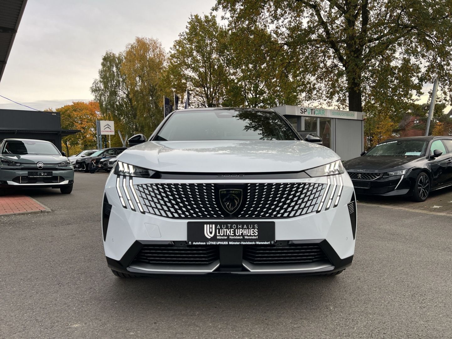 Fahrzeugabbildung Peugeot 3008 Launch Edition Dual-Elektromotor 325 AWD