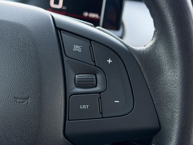 Citroën C4 Cactus C-Series 1.2 PT110 °PDC°SHZ°AAC°NSW°