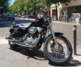 Harley-Davidson Sportster 883 XL2 - Offers matching your search criteria