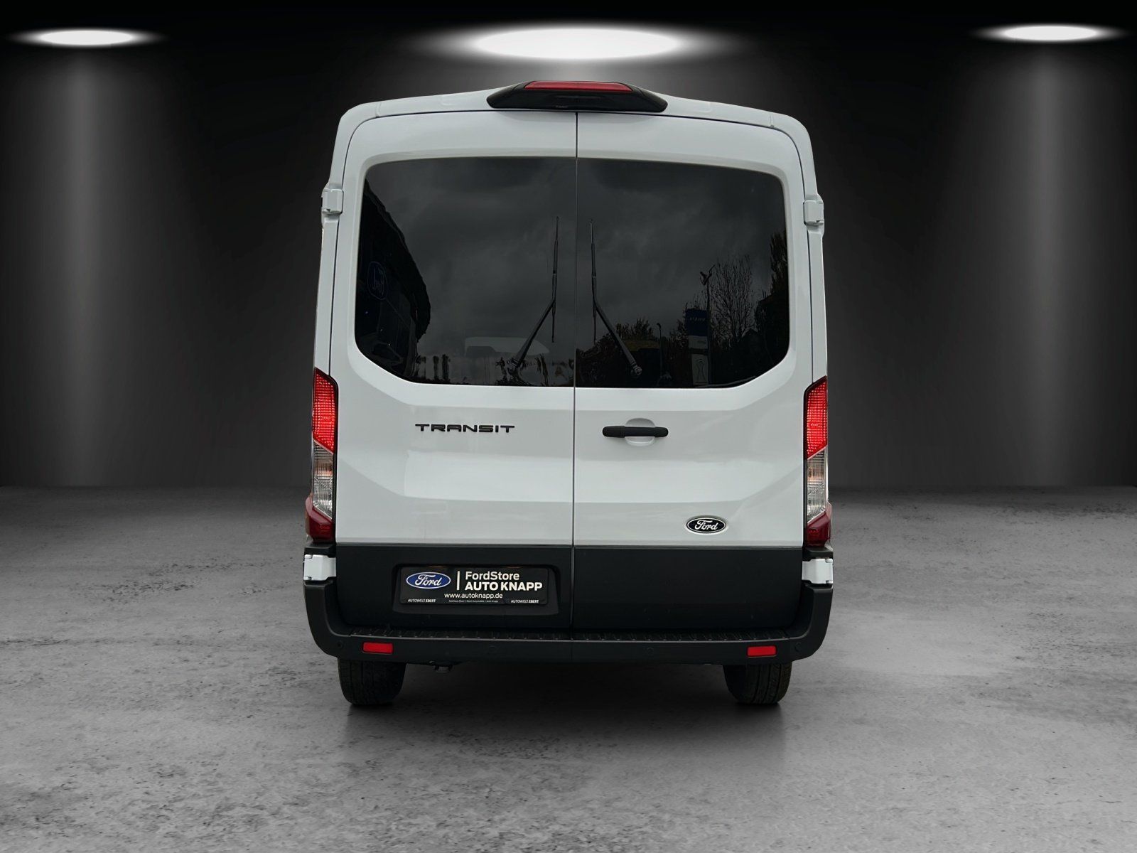 Fahrzeugabbildung Ford Transit Kombi 350L3 Trend 6 Sitze GJR Techno Pak