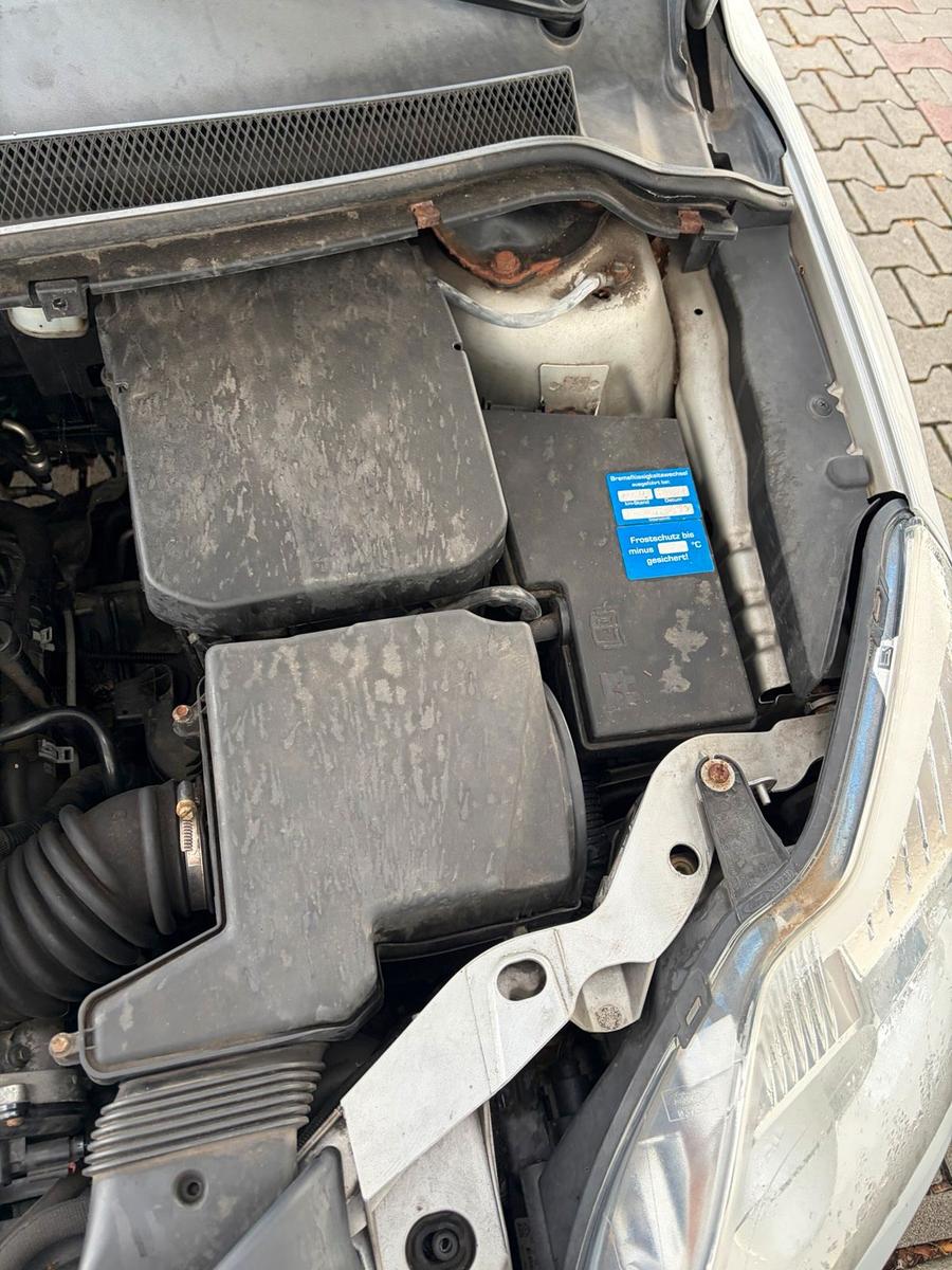 Ford Focus 2009 — photo 6