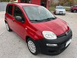 Fiat Panda 1.3 MJT S&S Pop Van 2 posti - Fiat Panda POP mit Diesel-Antrieb