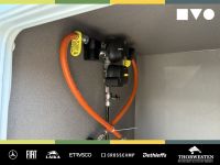 Autohaus Thorwesten Gebrauchtwagen