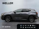 Lexus NX 450h+ E-FOUR Bussines-Line *AHK*el Heck*LMF* - gebrauchte Lexus SUV & Geländewagen