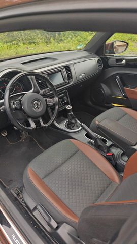 VW Beetle