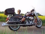 Harley-Davidson  HD Road King Classic 105th Anniversary - HARLEY-DAVIDSON 2008 ROAD KING
