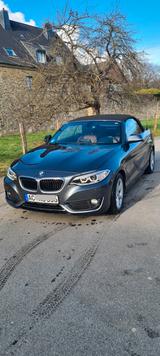 BMW 220i Steptr. Cabrio Adv. WR.  AHK, Kli. Led, Nav - BMW 220 in Aachen