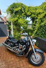 Suzuki Intruder M VL800 - SUZUKI V 800