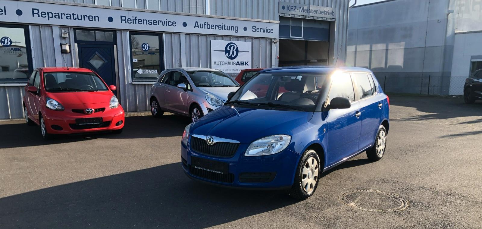 Skoda Fabia Basis Steuerkette 2020/133.000 KM erneuert