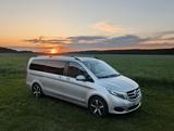 Mercedes-Benz V 250 d Aut. 4MATIC EDITION lang - Mercedes-Benz V 250: Von Privat