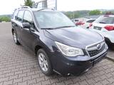 Subaru Forester 2,0i Exclusive - gebrauchte Subaru Forester aus dem Jahr 2014