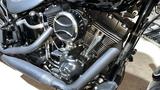 Harley-Davidson FLSTC - HARLEY-DAVIDSON FLST