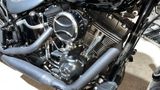 Harley-Davidson FLSTC - Angebote entsprechen deinen Suchkriterien