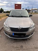 Skoda Fabia 1.6l TDI 55kW Active Active - Skoda Fabia Active mit Diesel-Antrieb