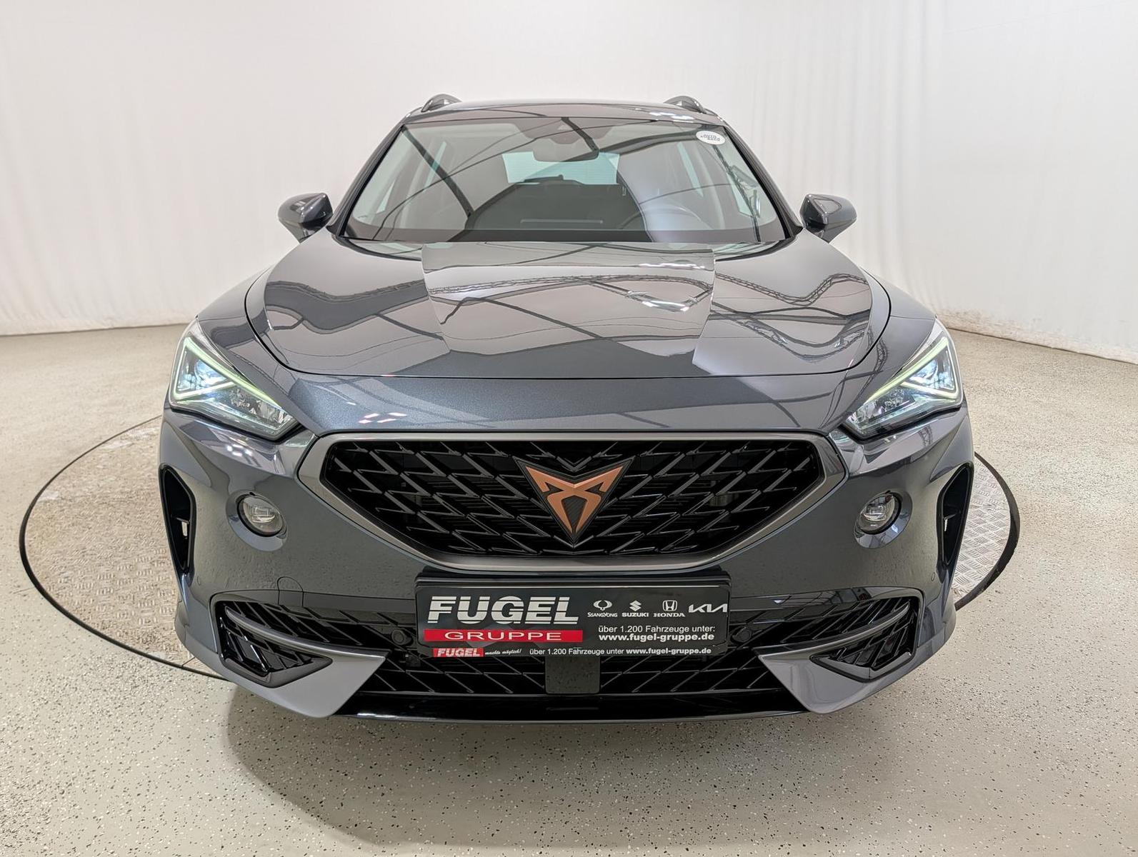 Cupra Formentor 2.0 TDI DSG 4Drive Winter|Navi|ACC|LED